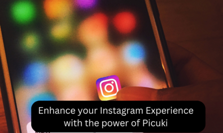 Enhance your Instagram Experience with the power of Picuki